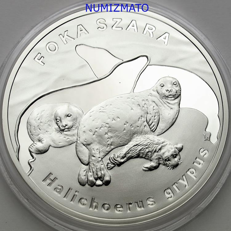 20 zł 2007 r. - Foka szara - Zwierzęta Świata
