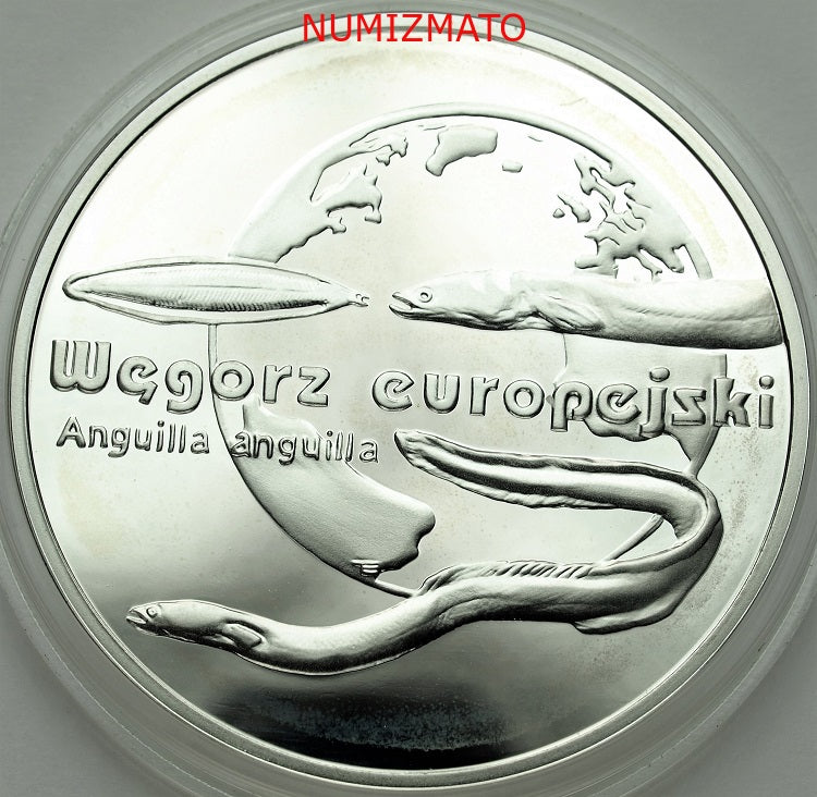 20 zł 2003 r. - Węgorz europejski (Anguilla anguilla) - Zwierzęta Świata