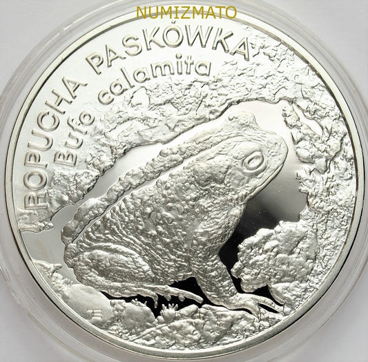 20 zł 1998 r. - Ropucha paskówka (Bufo calamita) - Zwierzęta Świata