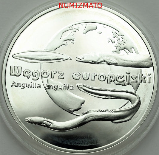 20 zł 2003 r. - Węgorz europejski (Anguilla anguilla) - Zwierzęta Świata