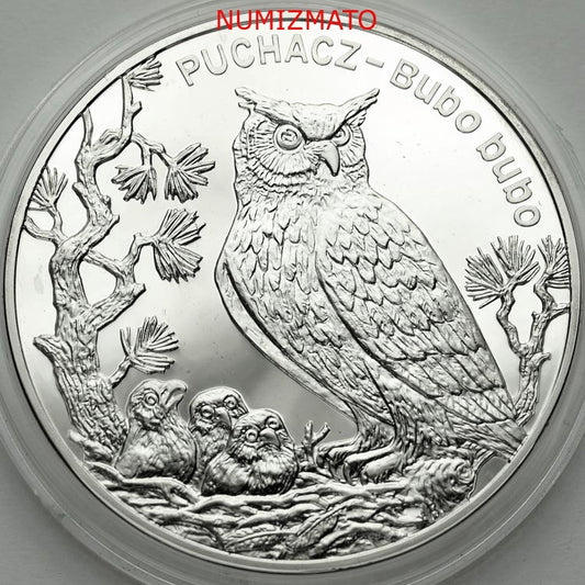 20 zł 2005 r. - Puchacz (Bubo bubo), Zwierzęta Świata