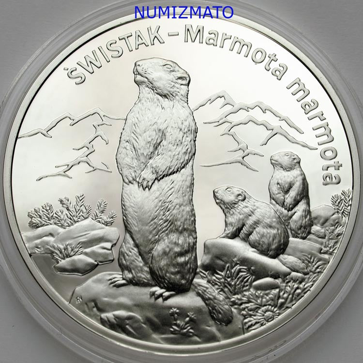 20 zł 2006 r. - Świstak - (łac. Marmota marmota) - Zwierzęta świata